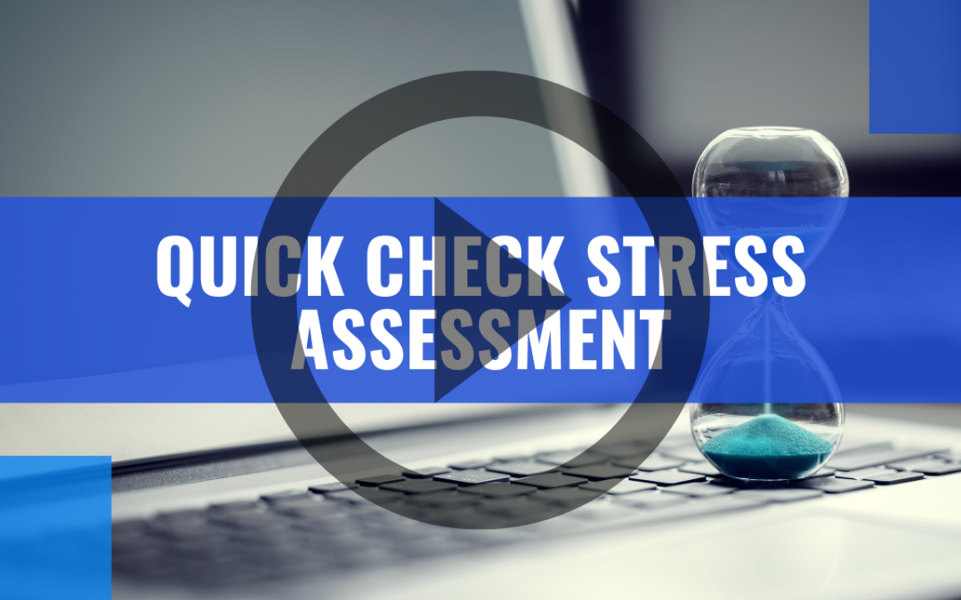 Quick Check Stress Assessment